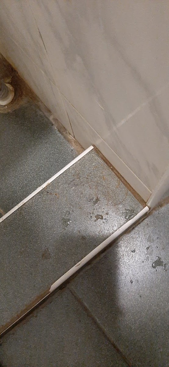 Фото к отзыву Mirumu Chi #1