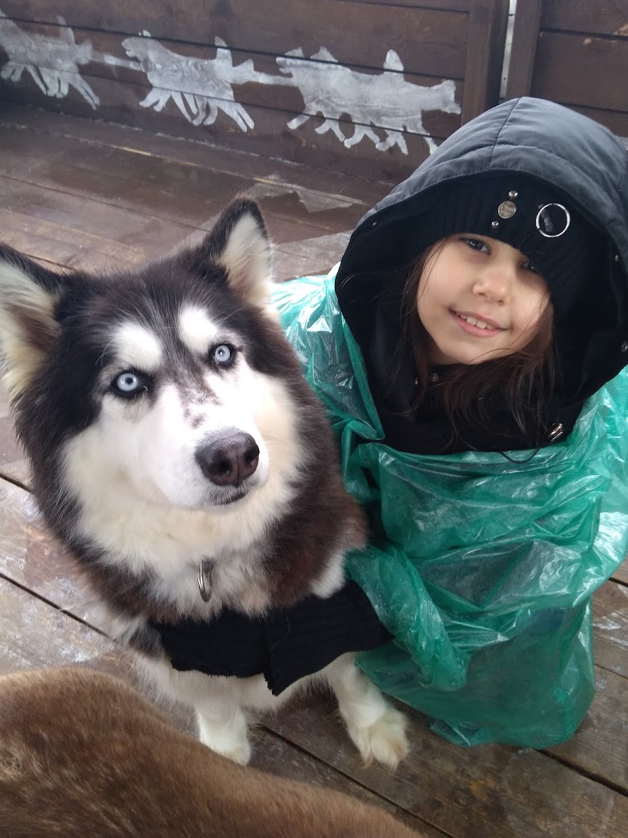 Фото к отзыву Марина Антонова #4