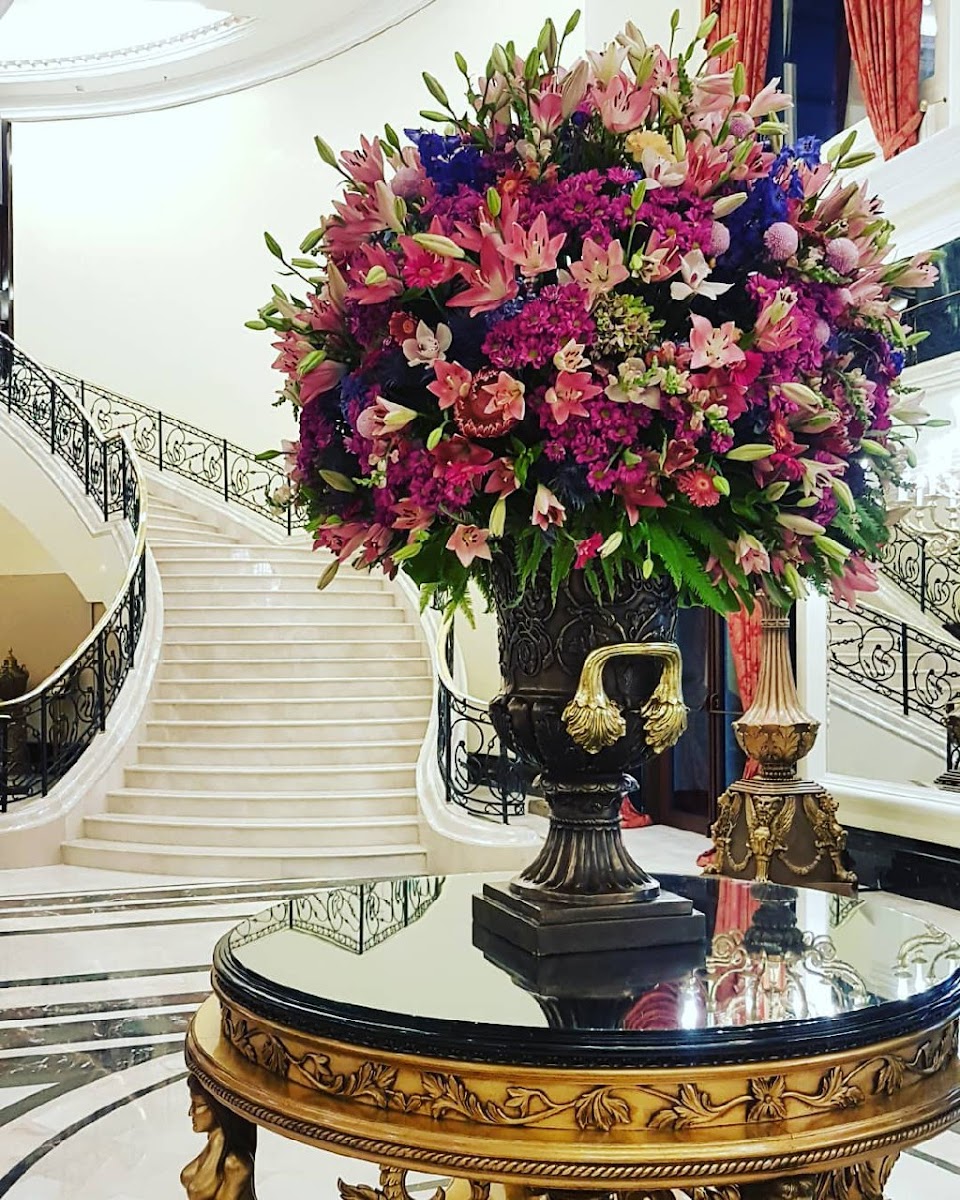 Фото к отзыву Sonata Singer #1