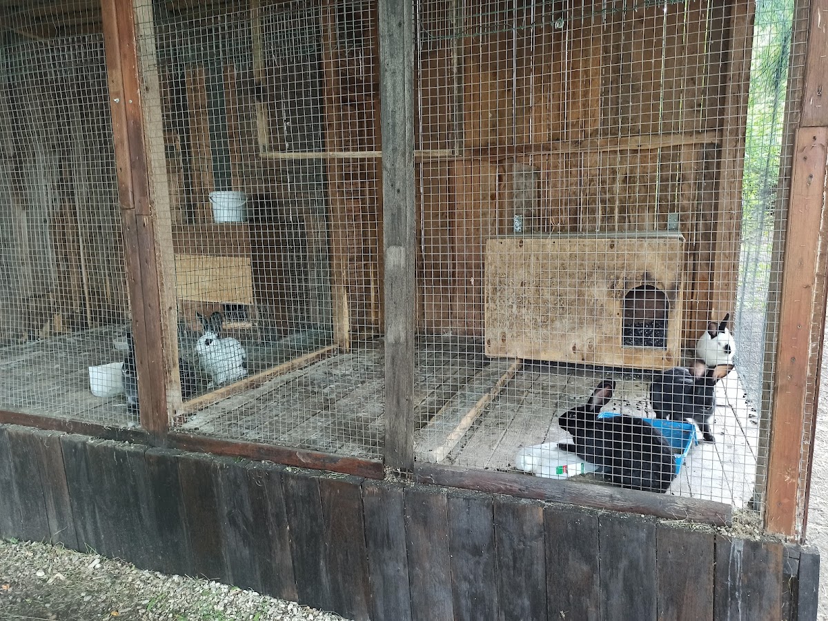 Фото к отзыву Шарый Андрей #2