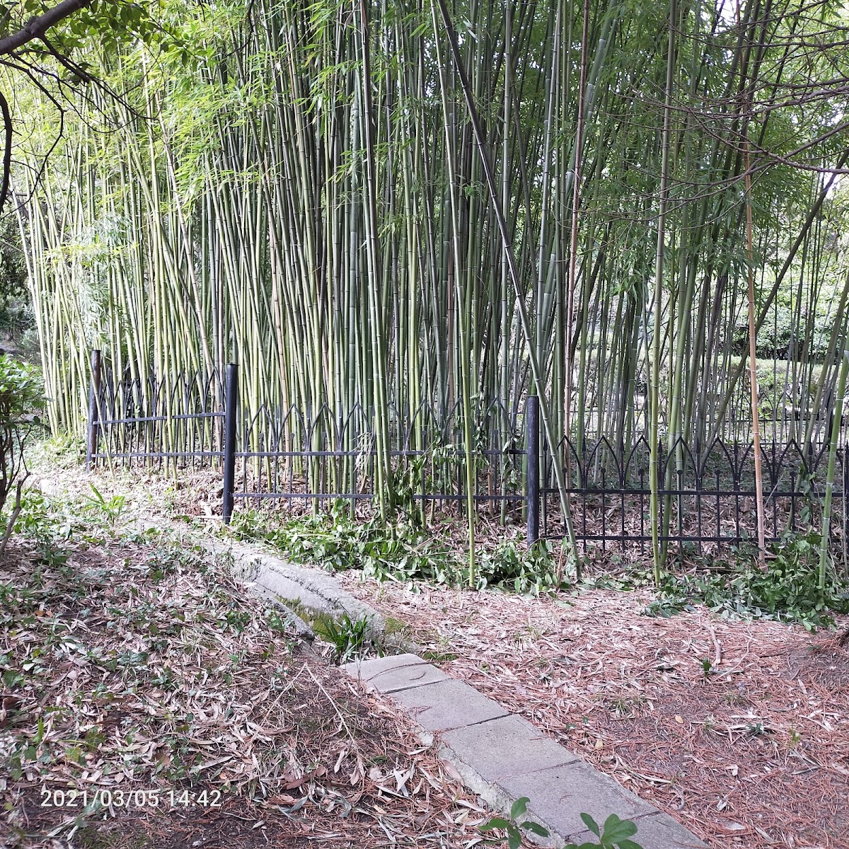 Фото к отзыву Галина Анохина #4