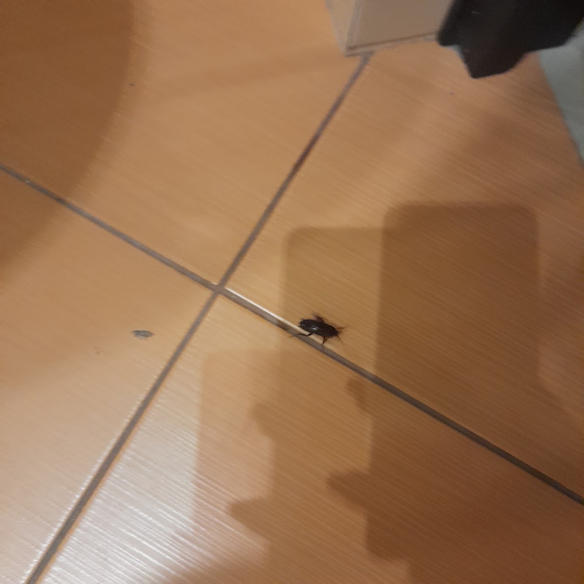 Фото к отзыву Карина Ветрук #4