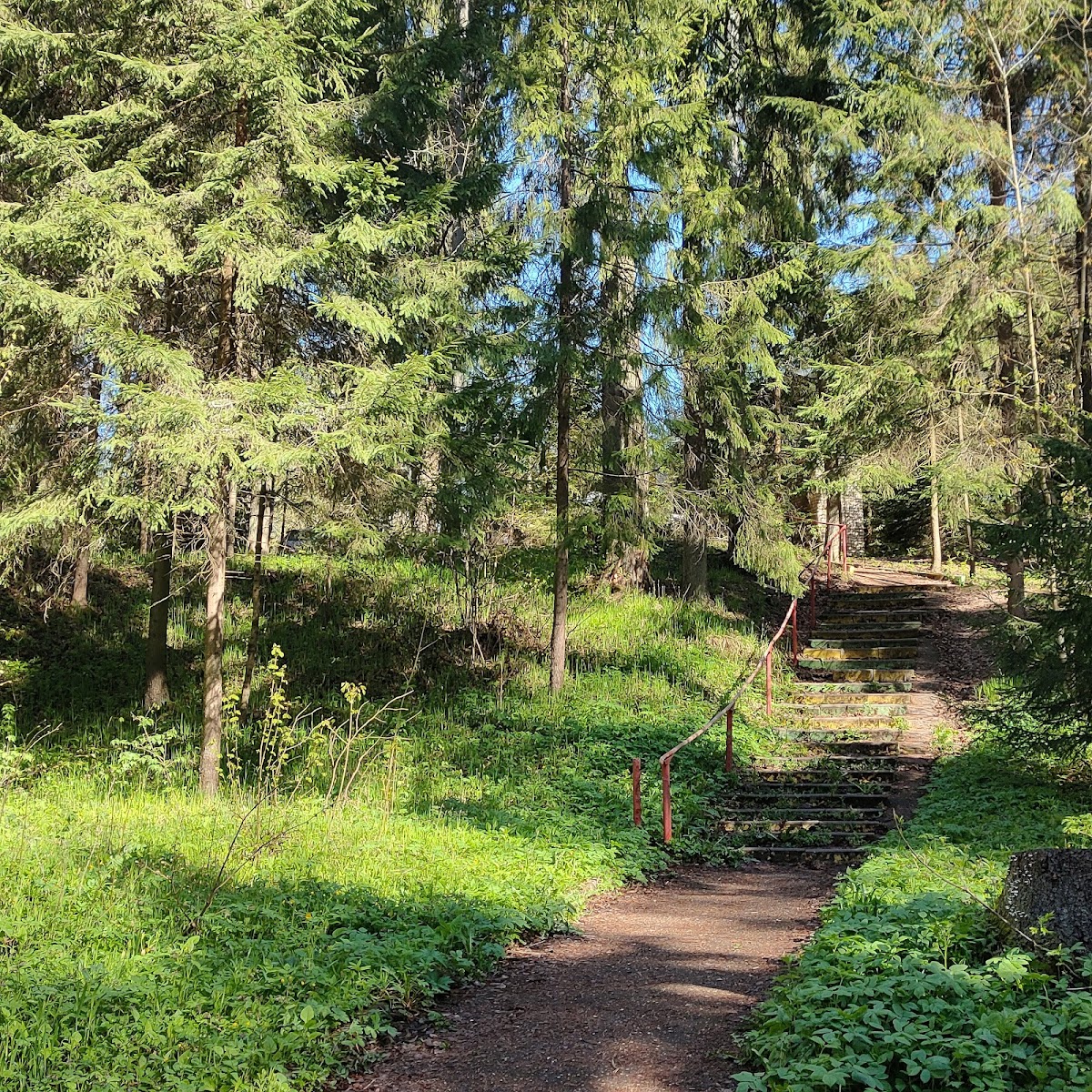 Фото к отзыву Виталий Айвленд #2