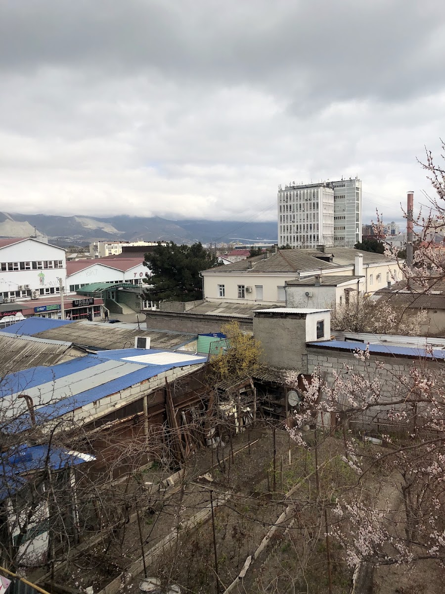 Фото к отзыву lio Takikiro #4