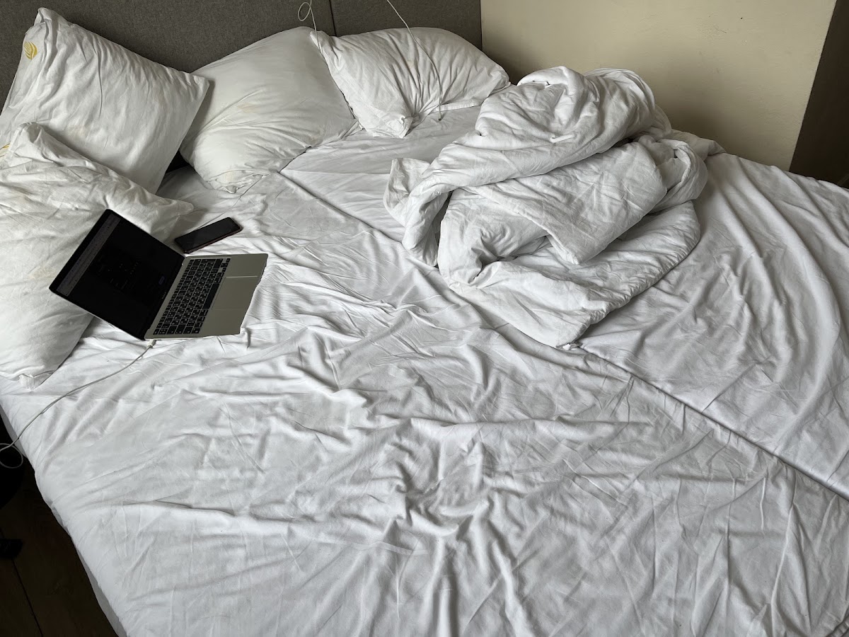 Фото к отзыву Ivan Davydenkov #1