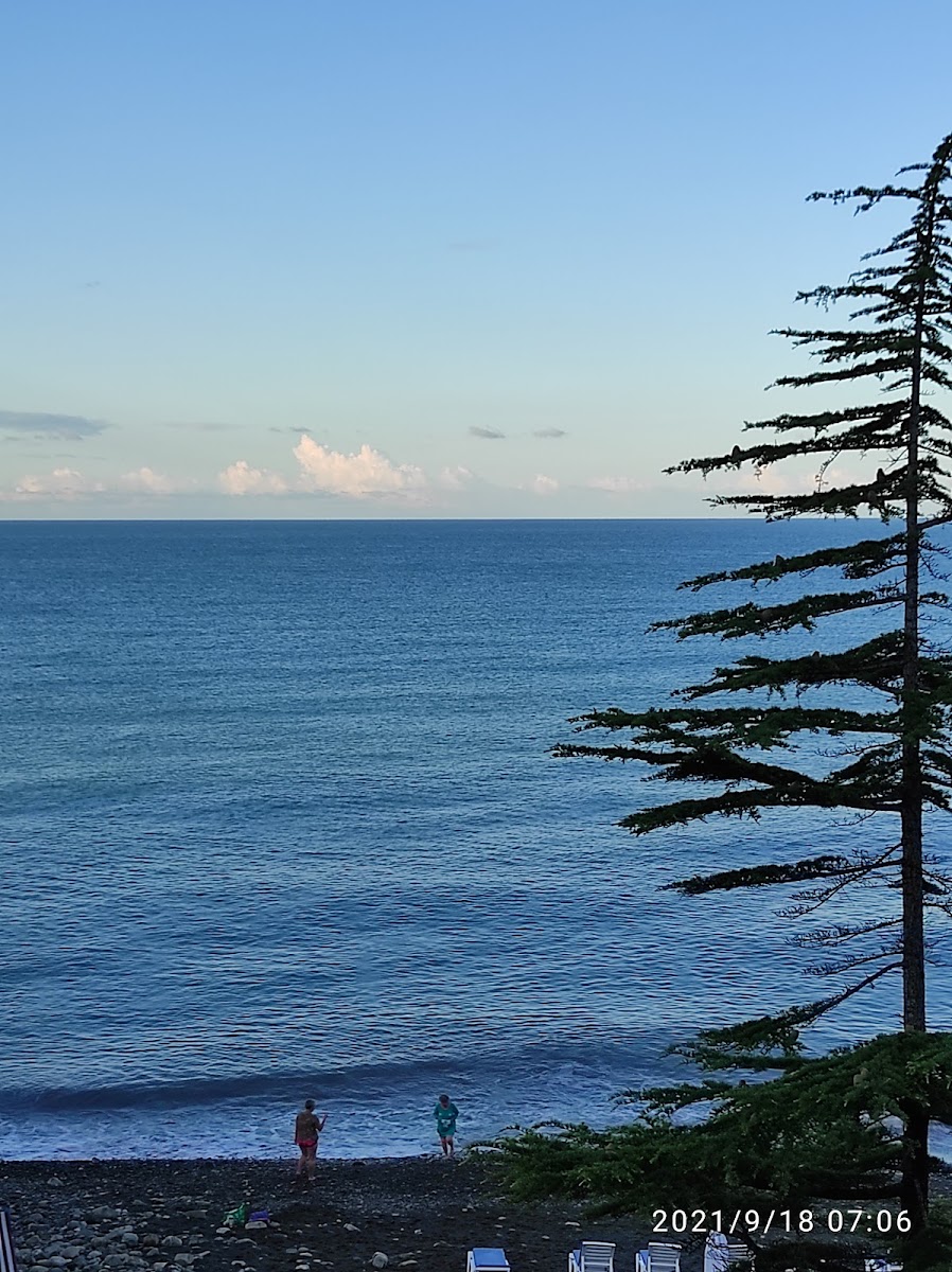 Фото к отзыву Михаил Михайлович #2