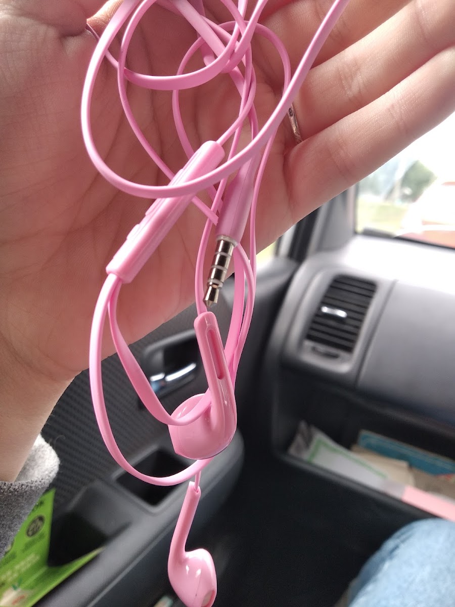 Фото к отзыву Катерина Глотова #1