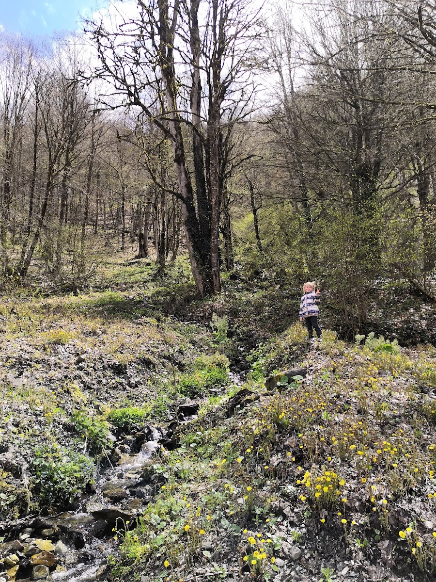 Фото к отзыву Natali Danilova #4