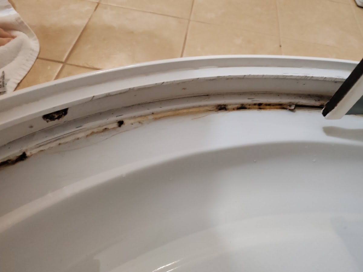 Фото к отзыву Алена Балязина #1