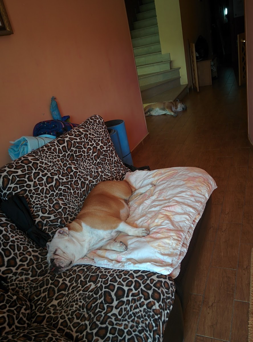 Фото к отзыву Наталья Manaenkova #2