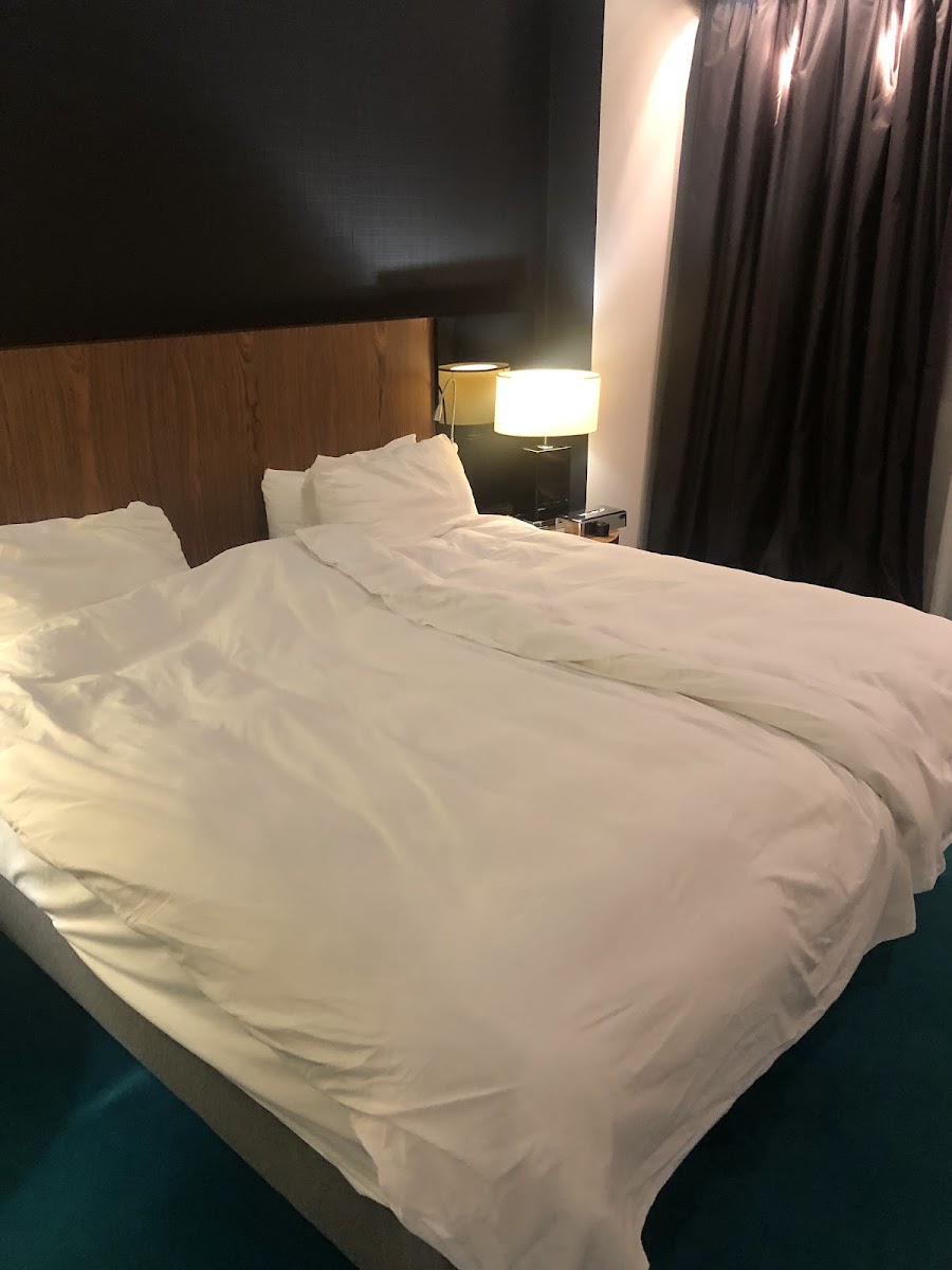 Фото к отзыву Nazrin Nasirova #1