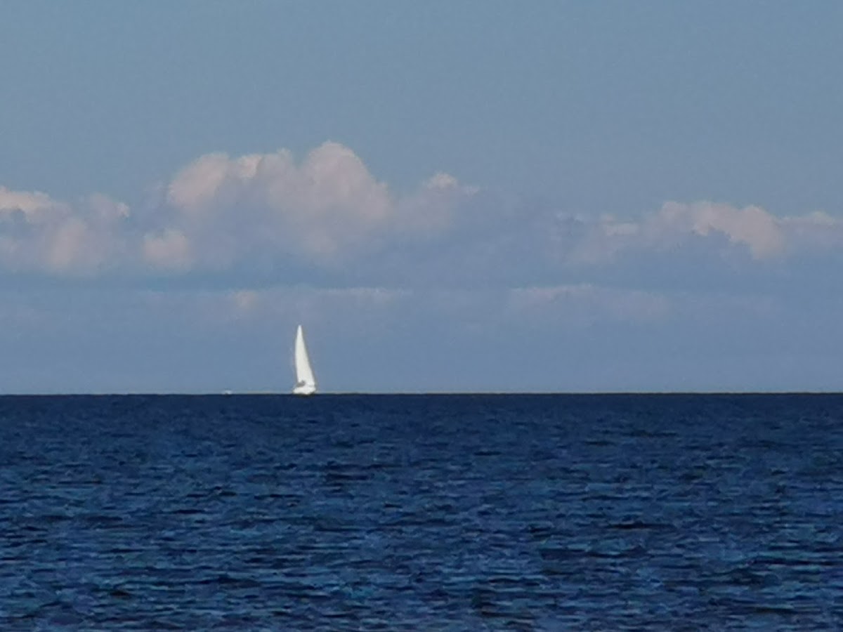 Фото к отзыву Eugene Rostovtsev #4