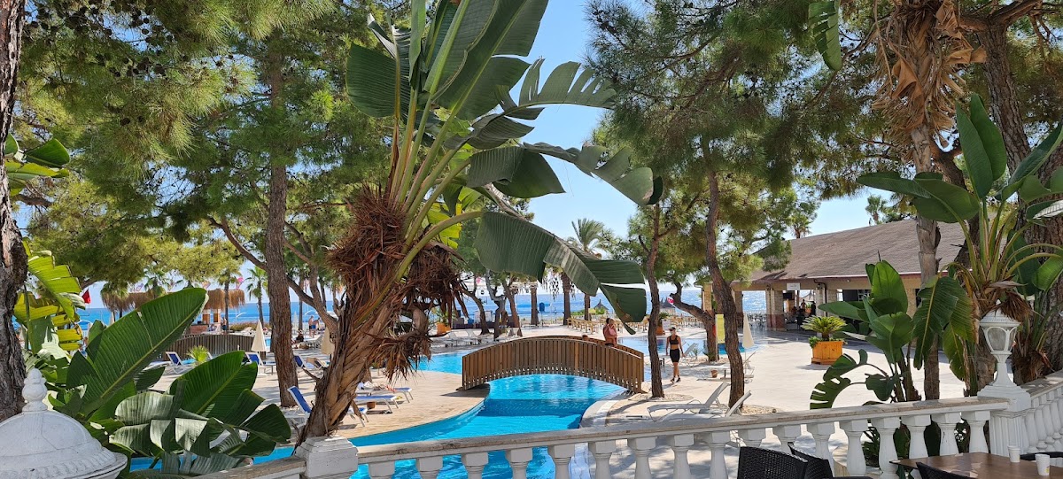 Фото к отзыву Olga Korochkina #1