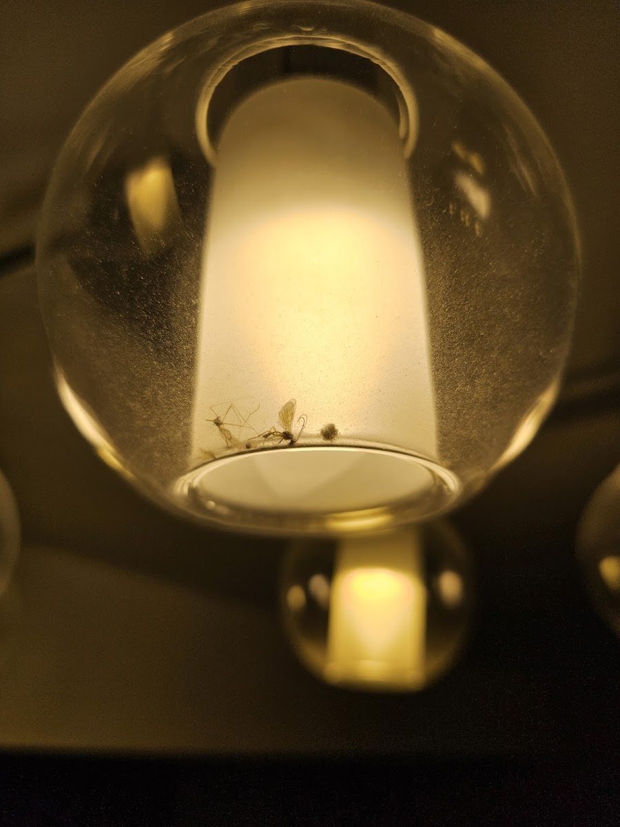 Фото к отзыву Павел Трач #2