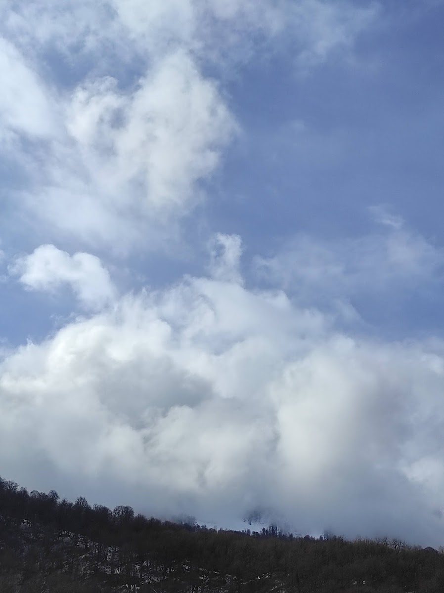 Фото к отзыву Роман Гудков #1