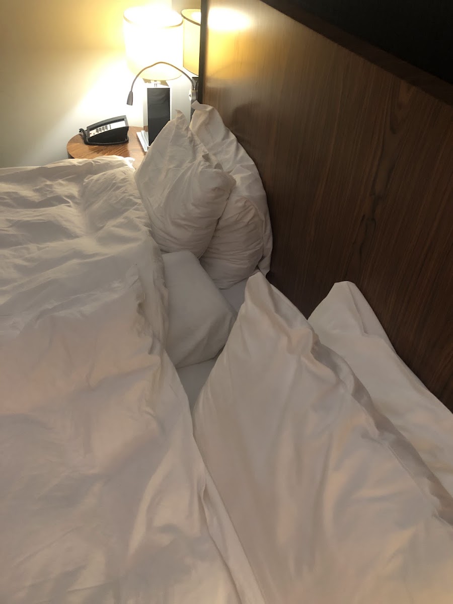 Фото к отзыву Nazrin Nasirova #3