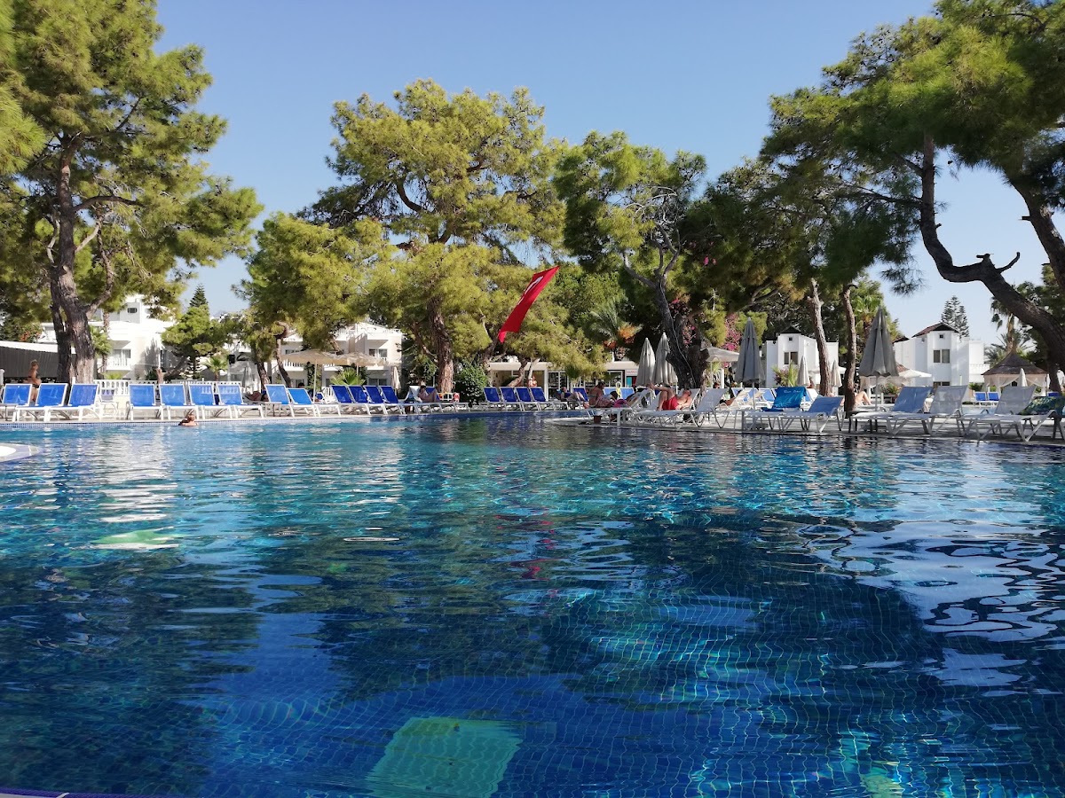 Фото к отзыву Андрей Загайнов #4