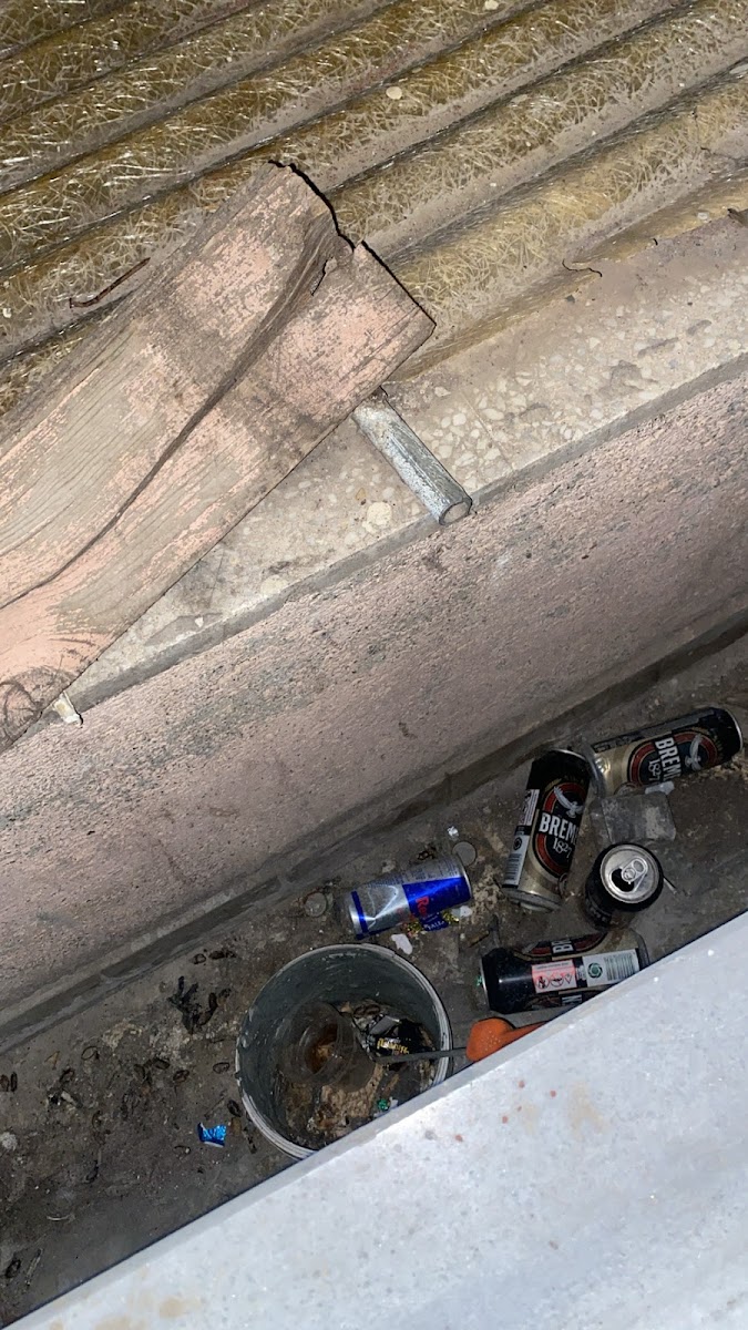 Фото к отзыву Annabelle Riou #4