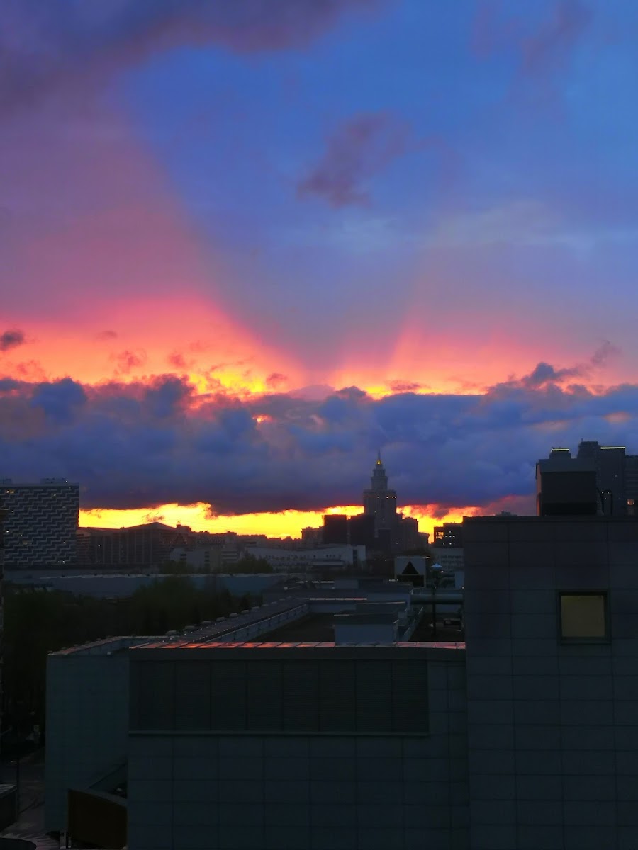 Фото к отзыву agranko #4