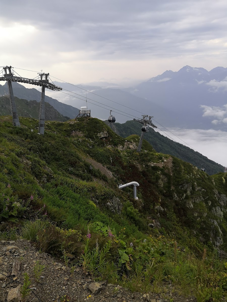 Фото к отзыву Анна Силкина #4