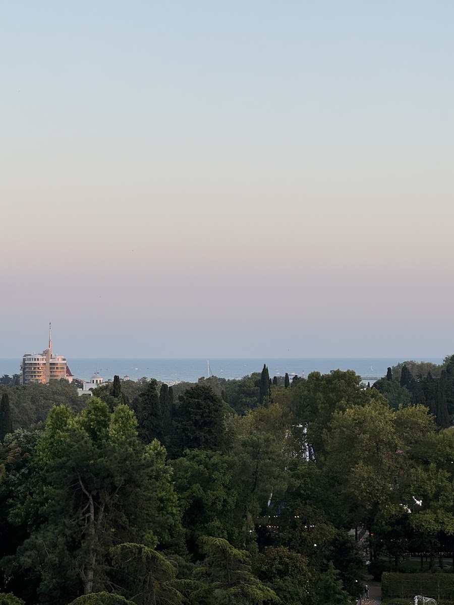 Фото к отзыву Оля Богомолова #2