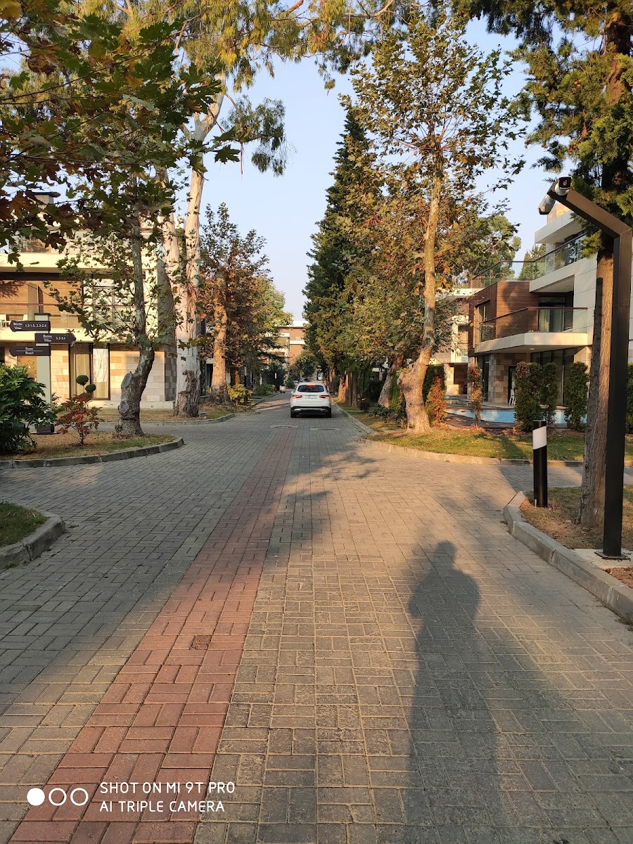 Фото к отзыву Артем Алексеевич #2