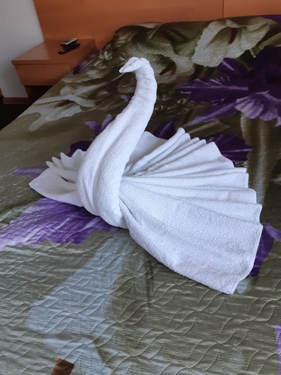 Фото к отзыву Ирина Ярзунова #1