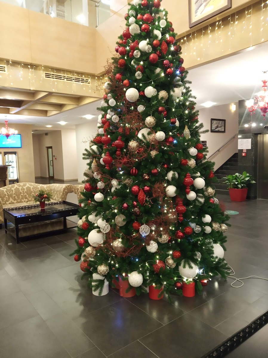 Фото к отзыву Дарья Гоженко #1