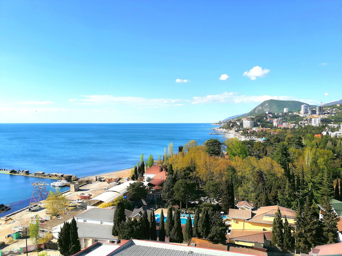 Фото к отзыву Алиса Стрельченя #4