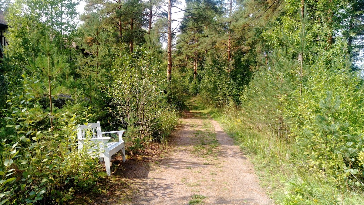 Фото к отзыву Рита Алексеева #1