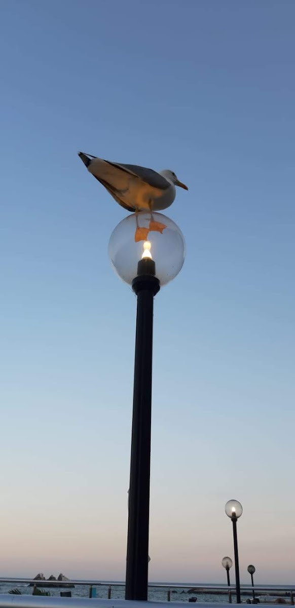 Фото к отзыву Евгений Валиков #1