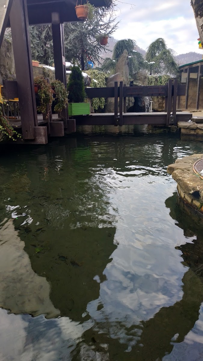 Фото к отзыву Larisa Gorbacheva #2