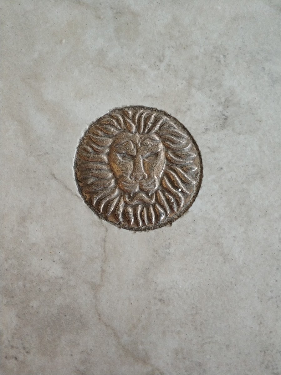 Фото к отзыву Екатерина Царегородцева #4