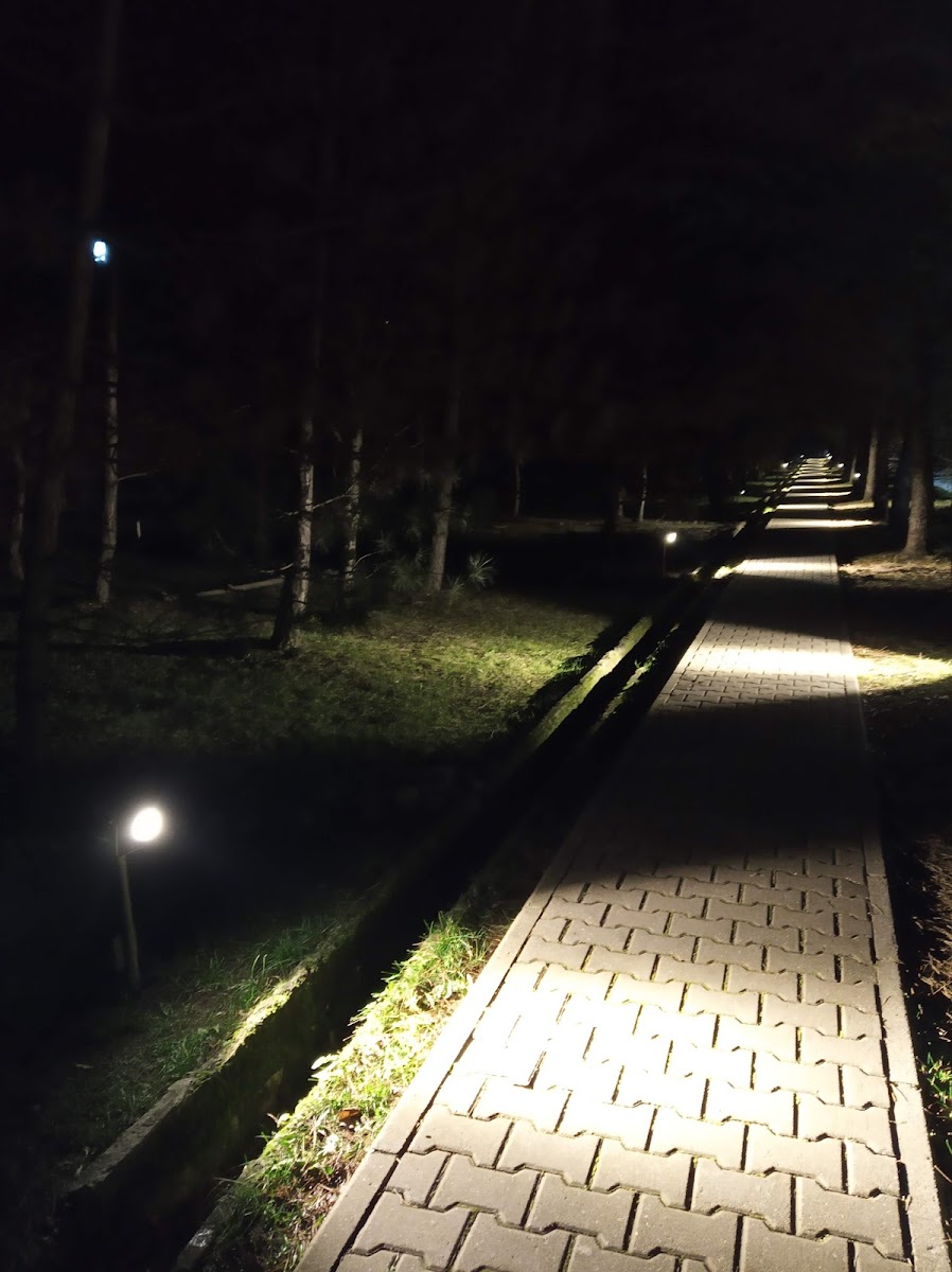 Фото к отзыву Дарья Гоженко #3