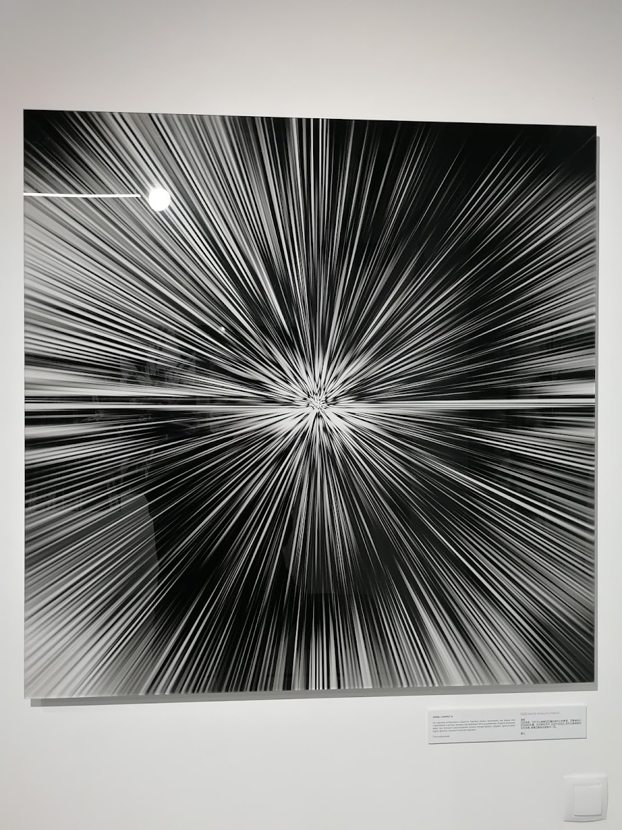 Фото к отзыву Demetrio Terlecki #4