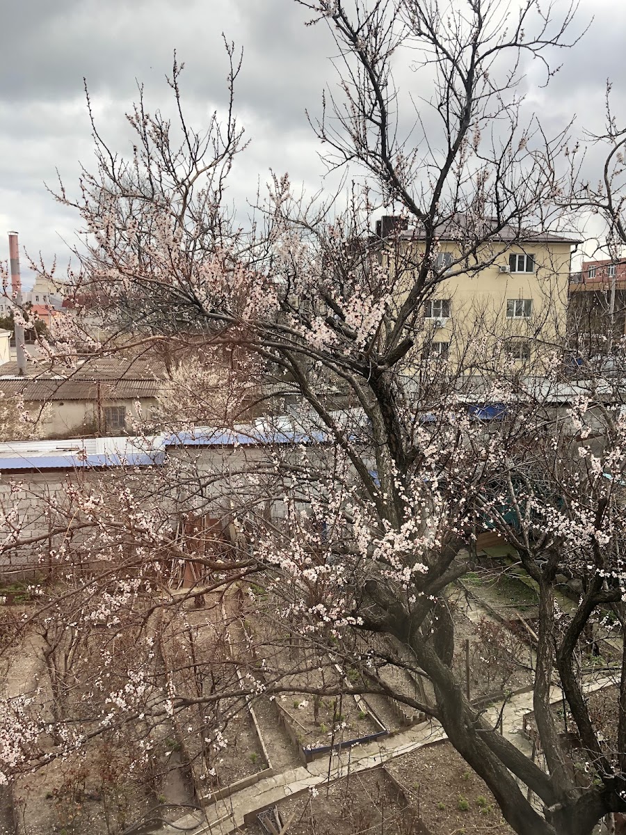 Фото к отзыву lio Takikiro #3