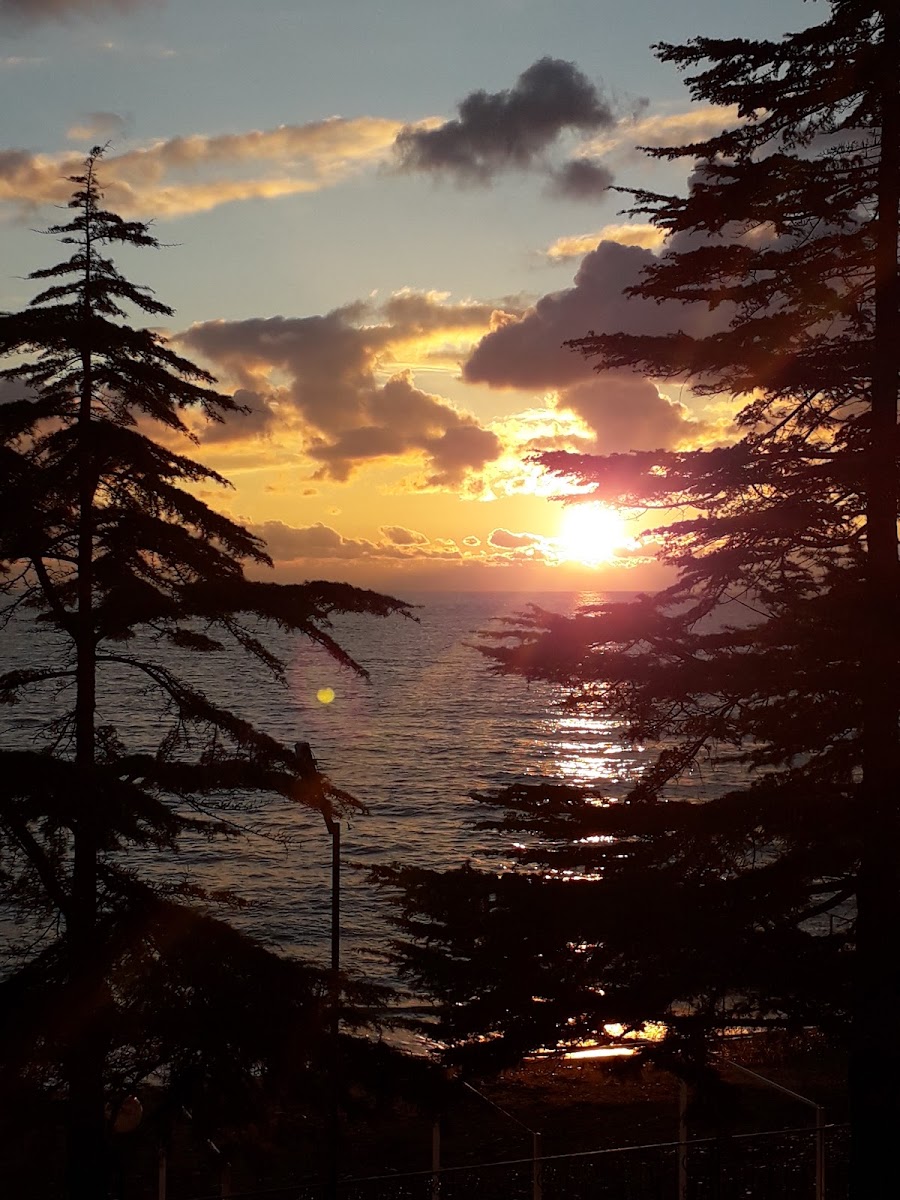 Фото к отзыву Валерия Татаринова #1