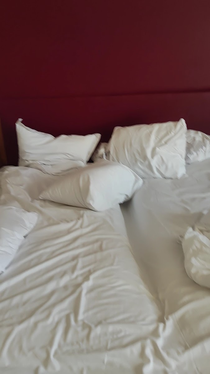 Фото к отзыву Erasch Erasch #1