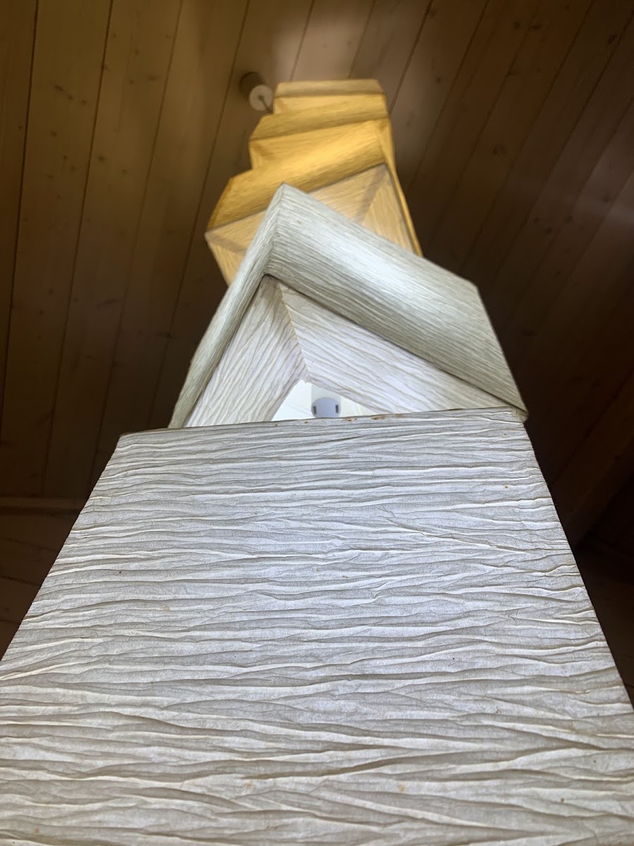 Фото к отзыву Ангел Грэй Хаски #3