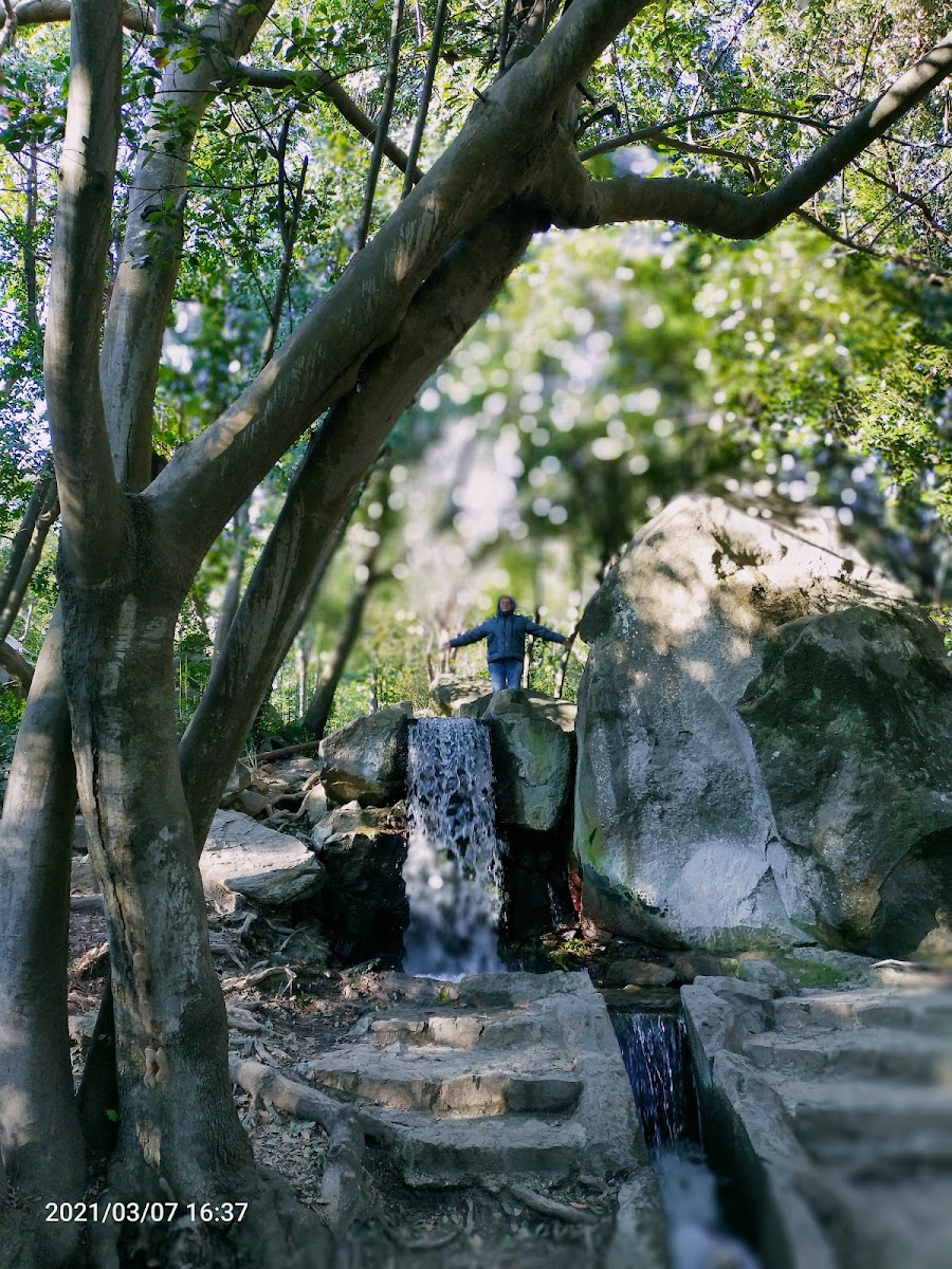 Фото к отзыву Галина Анохина #2