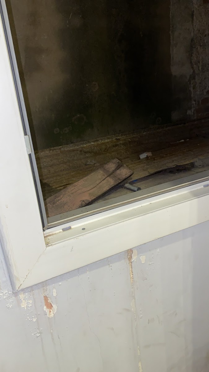 Фото к отзыву Annabelle Riou #3