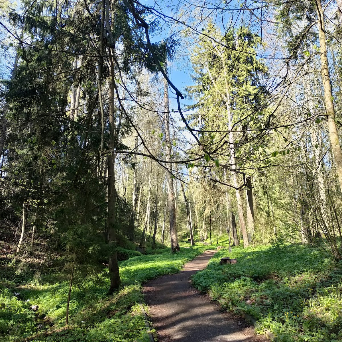 Фото к отзыву Виталий Айвленд #1