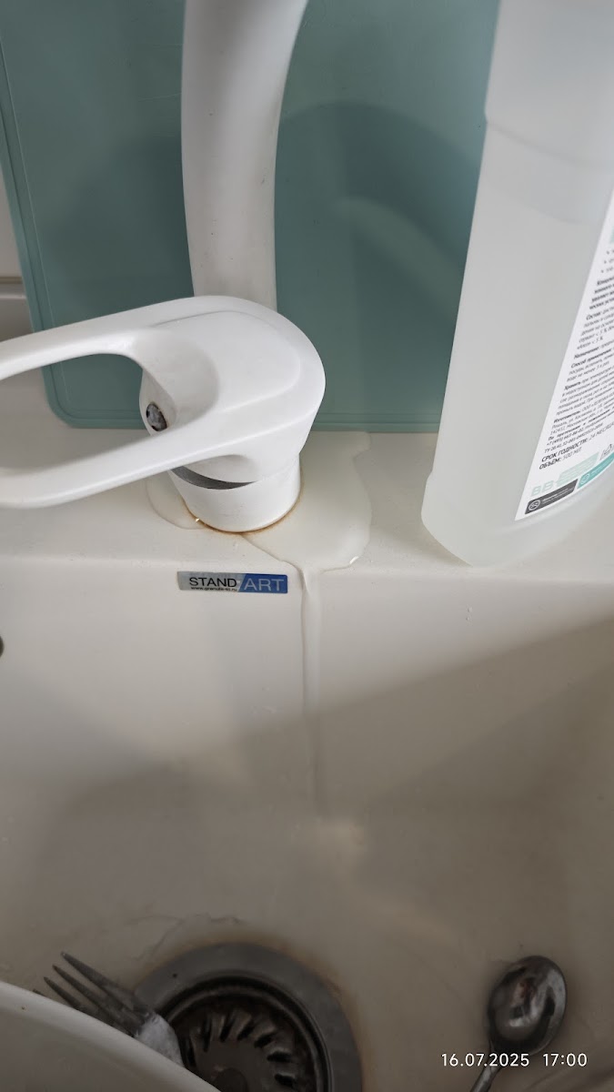 Фото к отзыву Дмитрий Стрелковский #1