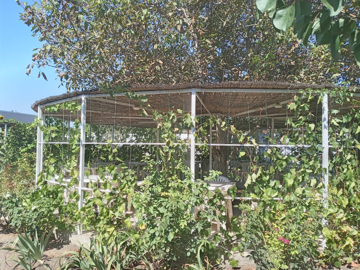 Фото к отзыву Александра Я #2