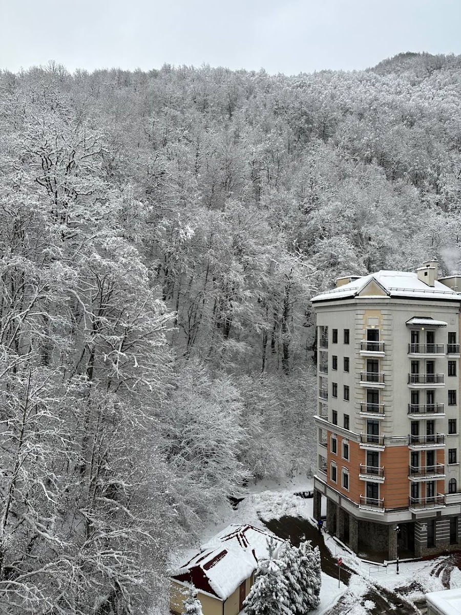 Фото к отзыву Анастасия #4