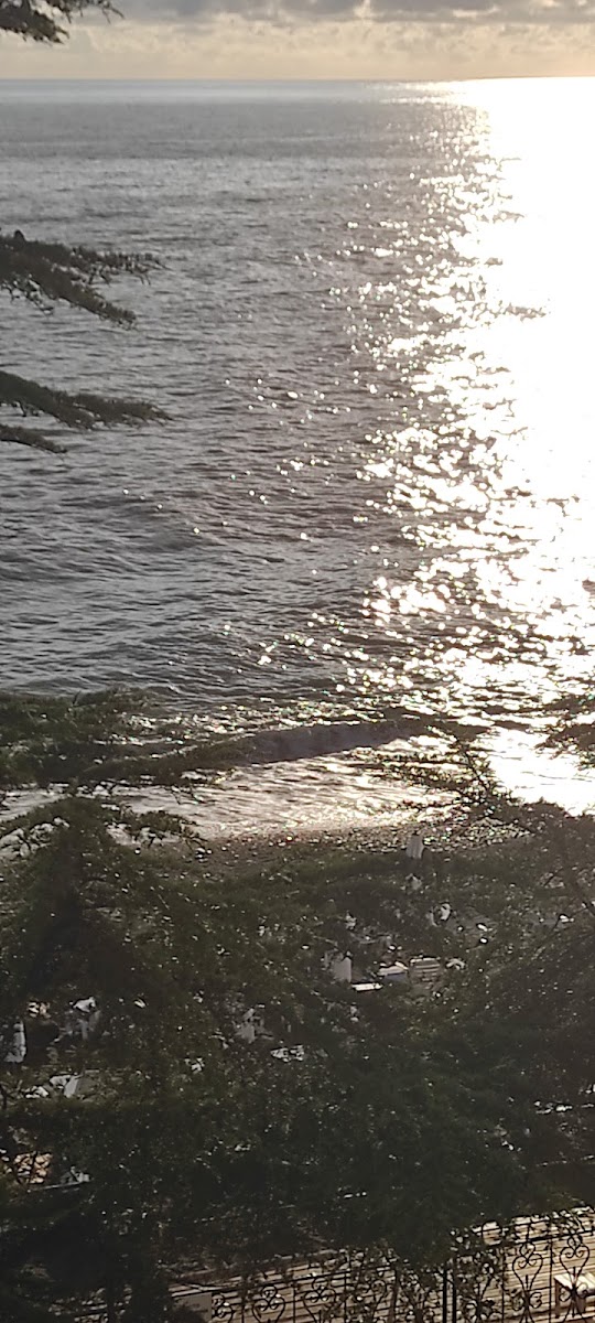 Фото к отзыву Михаил Михайлович #3