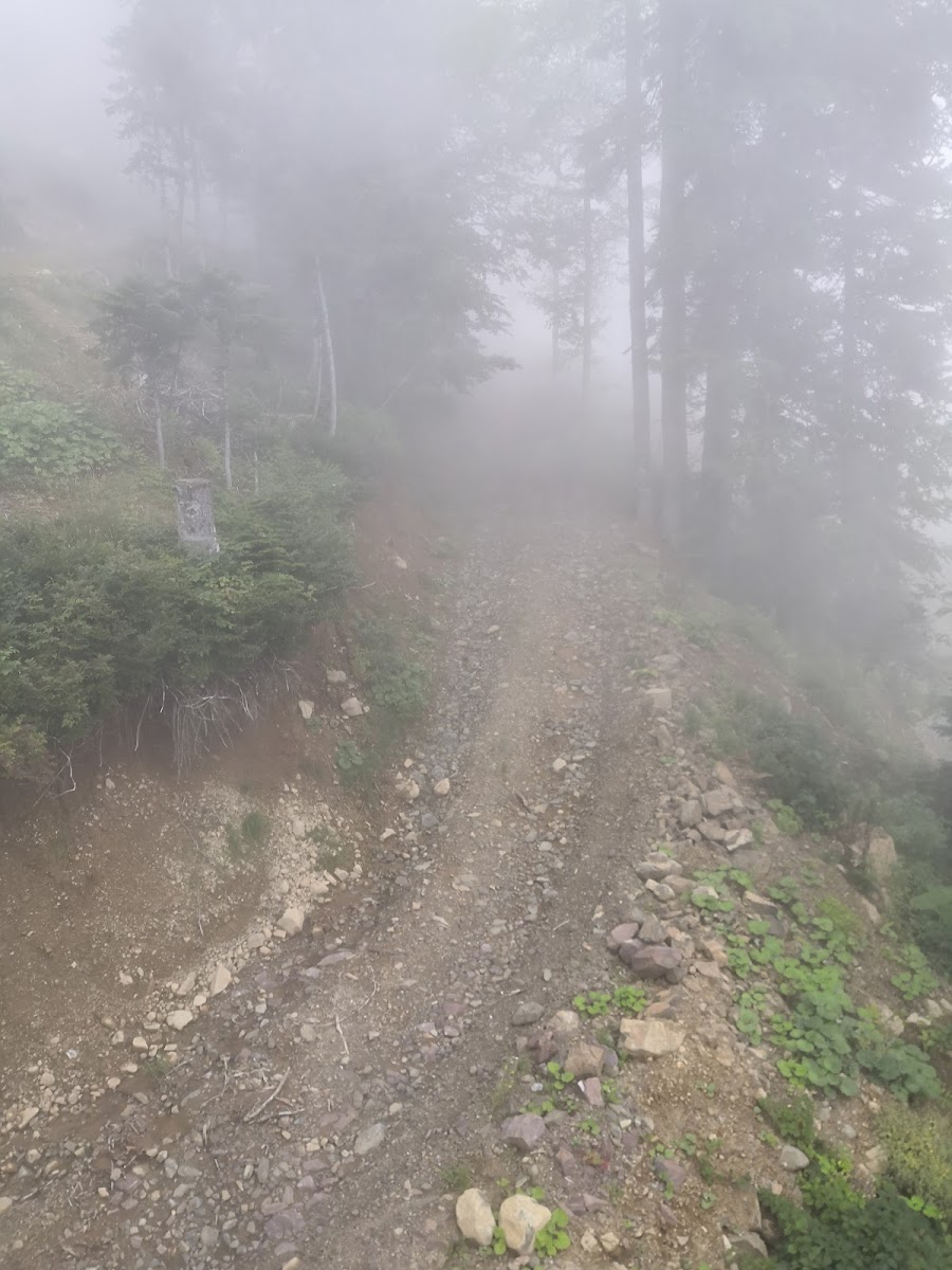 Фото к отзыву Анна Силкина #2