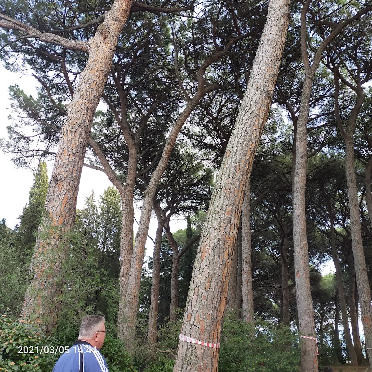 Фото к отзыву Галина Анохина #3