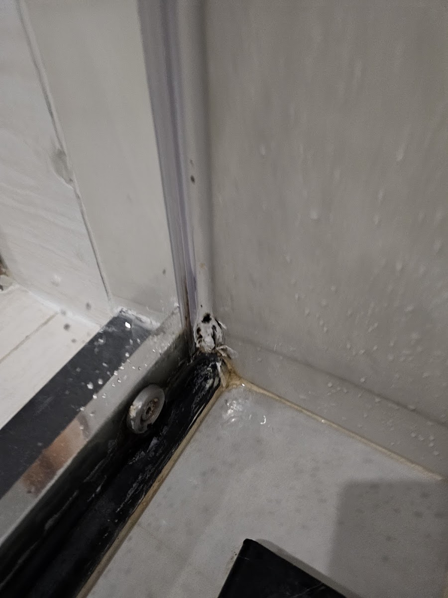 Фото к отзыву Павел Трач #4