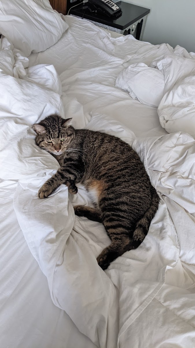 Фото к отзыву Эльмира #4